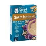 Gerber Organic Bouillie d'avoine et prunes 6m +