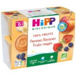Hipp 100% Fruits Pommes Bananes Fruits rouges dès 6 Mois